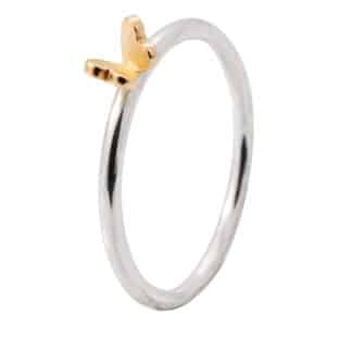 Hjertefuglring med gullhjertefugl